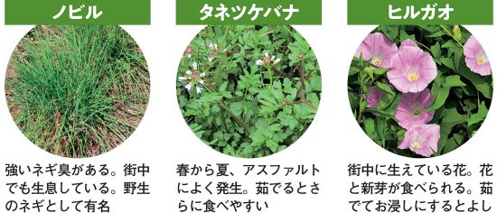 [0円防災]サバイバル術